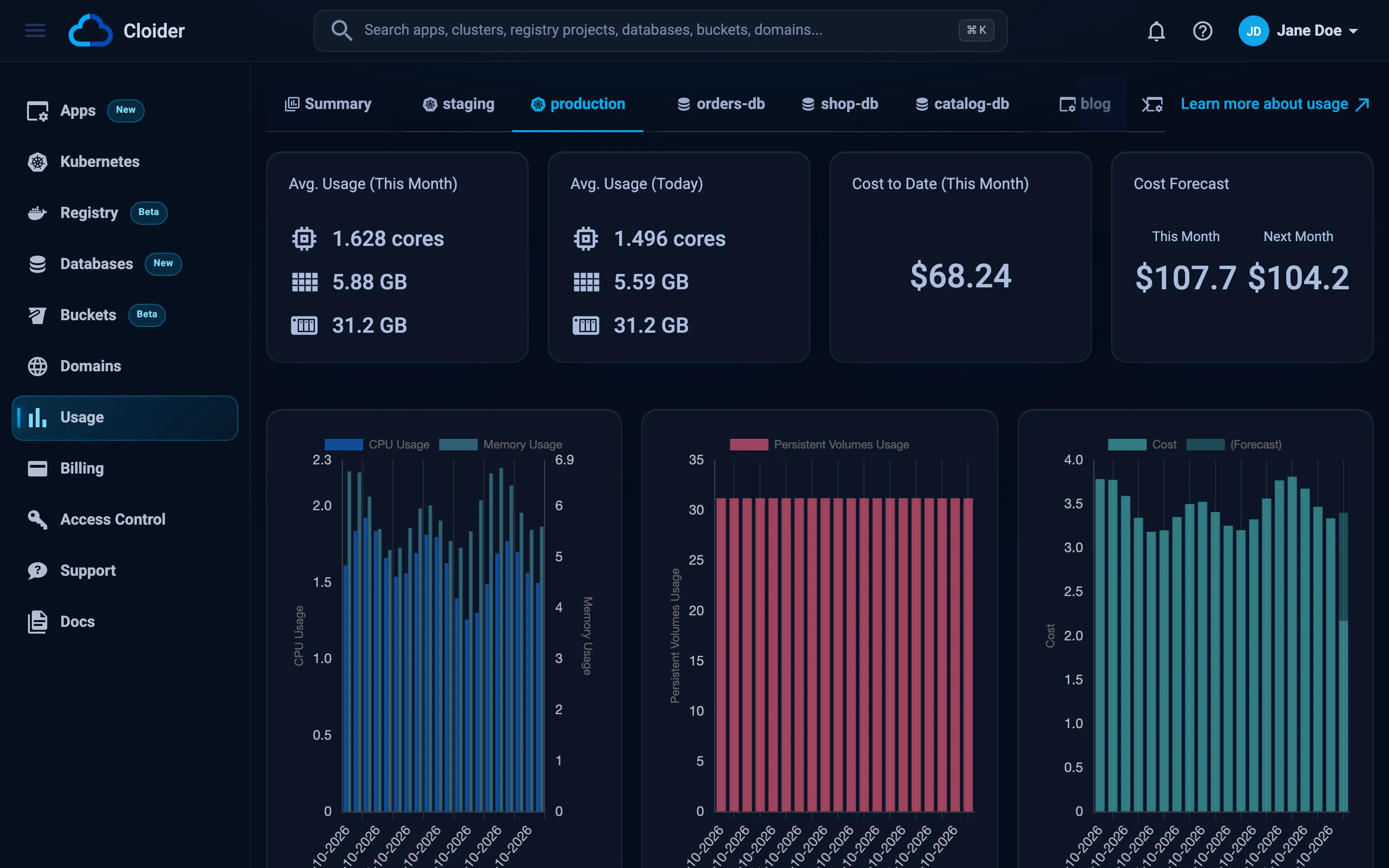 The Usage page with one cluster's tab open, showing its daily cost chart, month to date cost and forecast